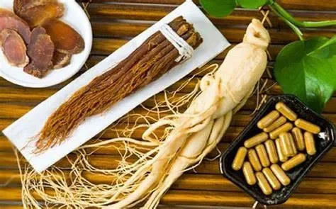 Các Dạng Nhân Sâm và Cách Dùng
