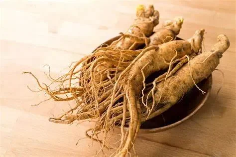 Một Số Lưu Ý Quan Trọng Khi Sử Dụng Nhân Sâm