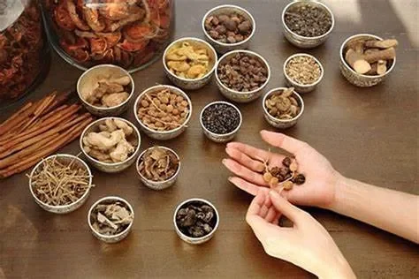 Nghiên Cứu Khoa Học Hiện Đại Về Tác Động Của Nhân Sâm Đối Với Bệnh Gan