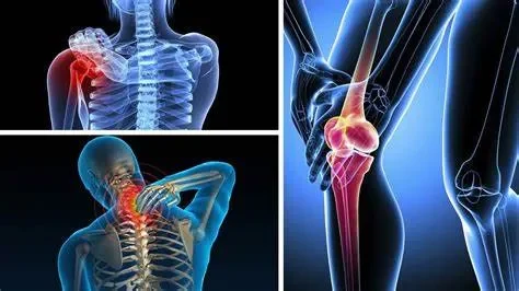 Nhân sâm có tốt cho hệ xương khớp không