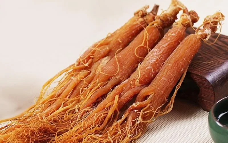 Nhân sâm Hàn Quốc có nguồn gốc từ đâu?