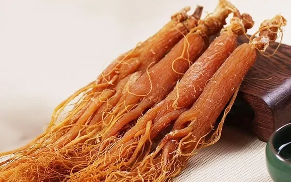 Sử Dụng Nhân Sâm Như Thế Nào Để Phục Hồi Sức Khỏe Hiệu Quả?