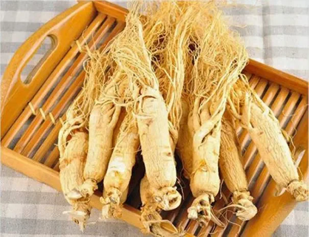 Tổng Quan Về Bệnh Gan và Tầm Quan Trọng Của Việc Điều Trị